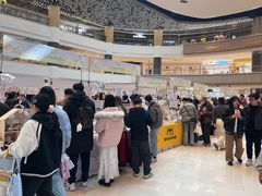 -上海长风大悦城