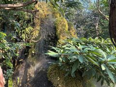 -Chom Cafe and Restaurant