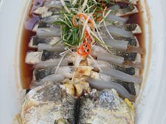 -大锅强·蒸海鲜青岛菜(吾悦广场店)