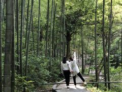 -永州阳明山国家森林公园