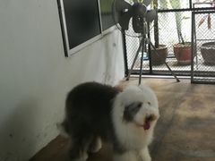 -TrueLove @ Neverland (Husky Cafe)