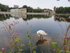 -长春世界雕塑园冰雪艺术天地