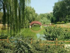 -燕郊植物园