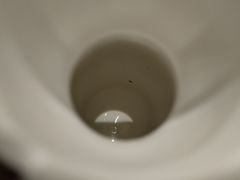 -风波庄(罍街分舵)