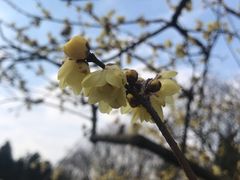 -白塘生态植物园