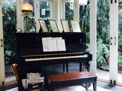 -Fern Forest Cafe