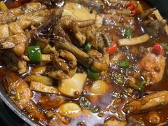 -蛙喔牛蛙(高新绿宝店)
