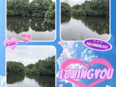 -张鸟园农家乐(张鸟园店)