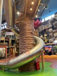 -卡通尼·Safari非洲探索乐园·生日会(金桥国际商业广场店)