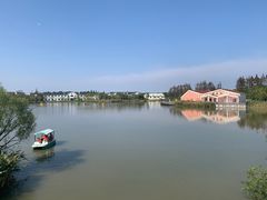 -上海长兴岛郊野公园