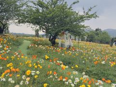 -名花谷生态庄园