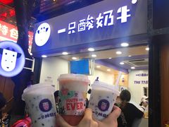 门面-一只酸奶牛(八一路店)