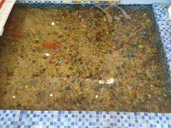 -雅逸居海鲜小厨