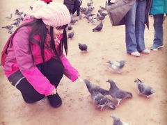 -谢列梅捷沃国际机场