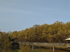 -合肥野生动物园