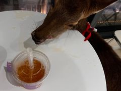 -怪兽屋·羊驼·猫咖·狗咖(俊华广场店)