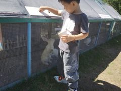 -廊坊固安福朋喜来登酒店