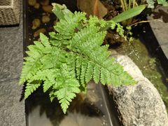 -好乐迪(天山店)