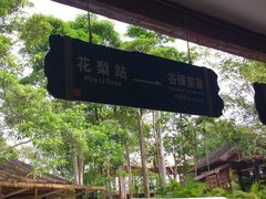 -海南槟榔谷黎苗文化旅游区