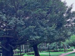 -荔香公园