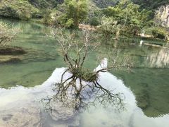 -靖西鹅泉风景区