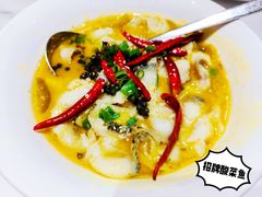 -双合园·海鲜水饺青岛菜(万佳广场店)