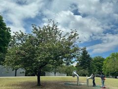 -金泽21世纪美术馆