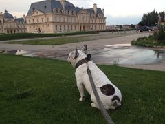 -北京拉斐特城堡酒店