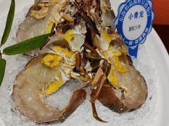 -东海怡品海鲜豆捞(舟宿夜江店)