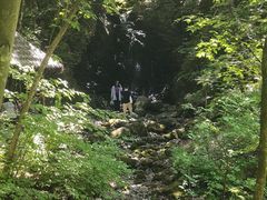 -关门山森林公园