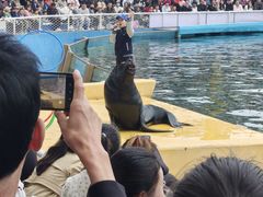 -秦皇岛乐岛海洋王国