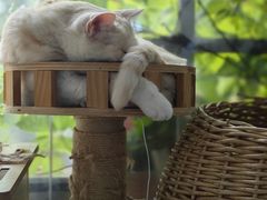 -小时光咖啡馆(北锣鼓巷店)