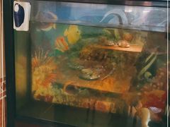 -聪辉同安老美食饭店(大元路店)