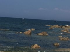 -海草馆自助餐厅(悦海店)