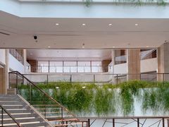 -广州白天鹅宾馆