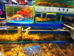 -岳各庄批发市场(西四环中路店)