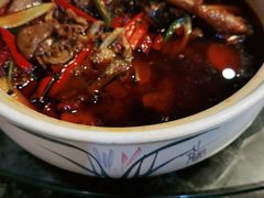 -先机泉水鸡汤(南山老君洞店)