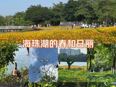 -海珠湖公园