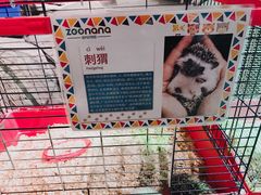-zoonana室内动物园(东方福来德店)