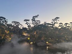 -罗红摄影艺术馆