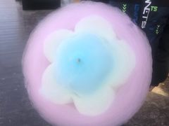 -茯茶镇