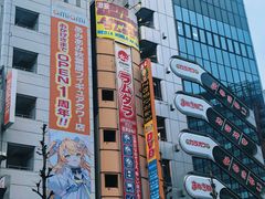 -秋叶原电器街