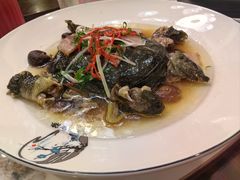 清蒸深水甲鱼-状元楼(金溪路店)