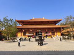 -三水森林公园