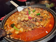 -辣尚瘾·烤鱼·新川菜(牡丹园直营店)