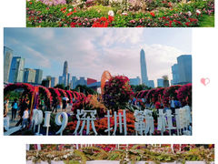 -莲花山公园