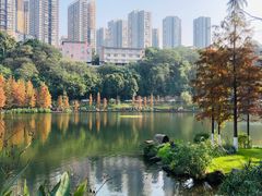 -重庆彩云湖湿地公园