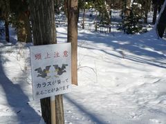 -北海道神宫