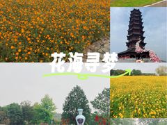 -江苏三台山国家森林公园