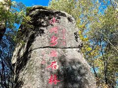 -汤旺河林海奇石景区